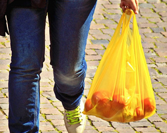 Gurugram market set to become polythene-free by January