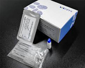 RAT (rapid anti-bodies testing) kit