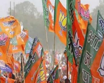 BJP flags