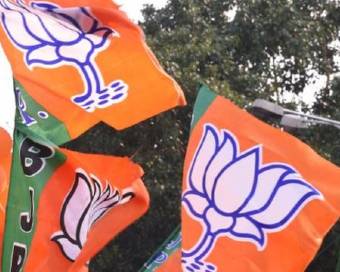 BJP flags (file pic)