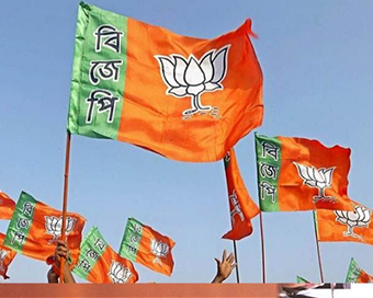 BJP party flags