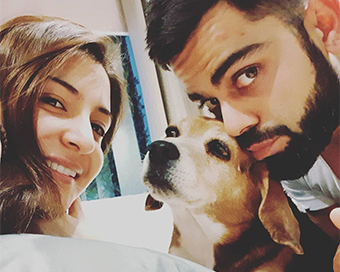 Gone to a better place: Virat Kohli mourns death of pet dog Bruno