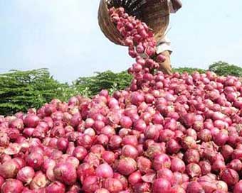 Govt lifts ban on onion exports with price rider