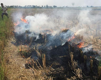 Stubble burning