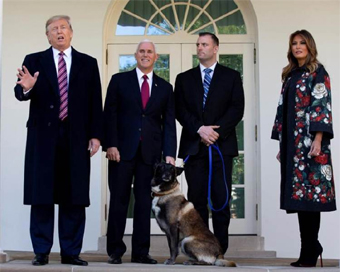 Trump decorates military dog wounded in Al-Baghdadi operation (file photo)