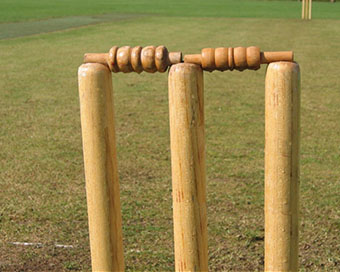 Stumps (file photo)